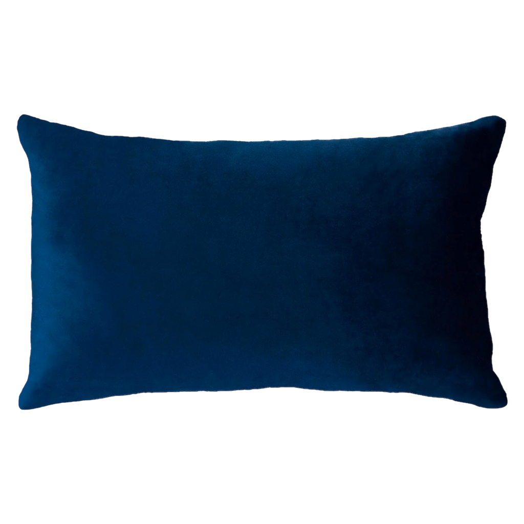 Netflix & Chill - Slogan Needlepoint Pillow